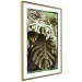 Poster Jungle Nobility - tropical composition of green monstera leaves 134507 additionalThumb 9