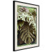 Poster Jungle Nobility - tropical composition of green monstera leaves 134507 additionalThumb 2