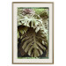Poster Jungle Nobility - tropical composition of green monstera leaves 134507 additionalThumb 20