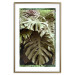 Poster Jungle Nobility - tropical composition of green monstera leaves 134507 additionalThumb 14