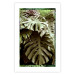 Poster Jungle Nobility - tropical composition of green monstera leaves 134507 additionalThumb 19