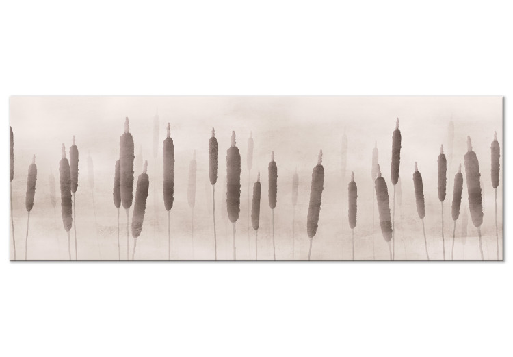Canvas Print Meadow in the fog - Narrowleaf cattail on a meadow shrouded in fog 134707