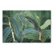 Canvas Expressive Leaves (1-piece) Wide - landscape of exotic leaves 137307