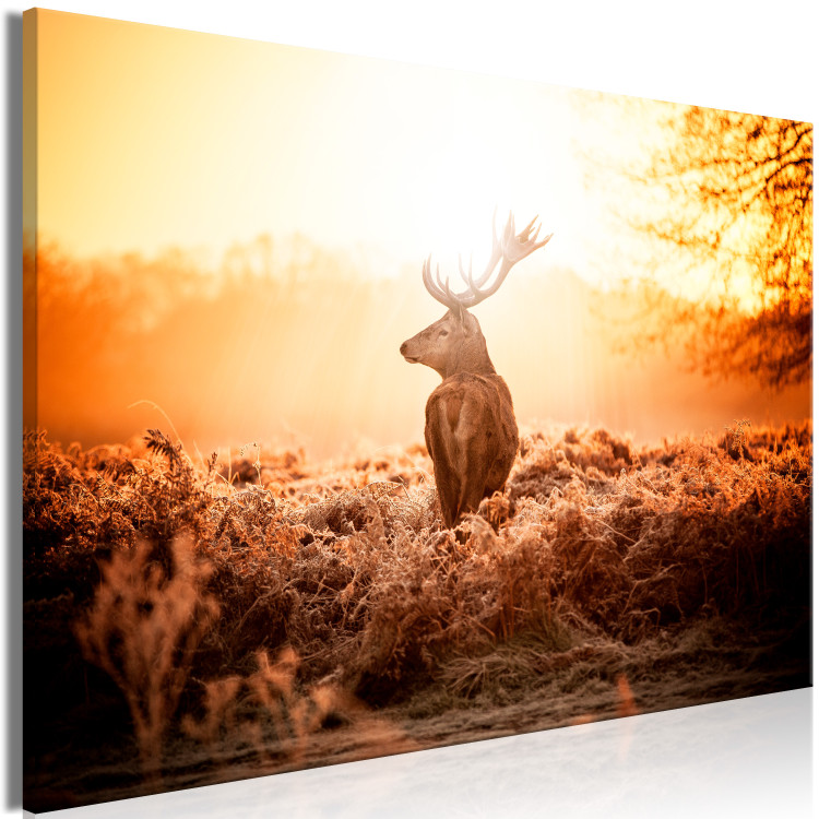 Large canvas print Deer at Sunset [Large Format] 149107 additionalImage 2