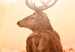 Large canvas print Deer at Sunset [Large Format] 149107 additionalThumb 3