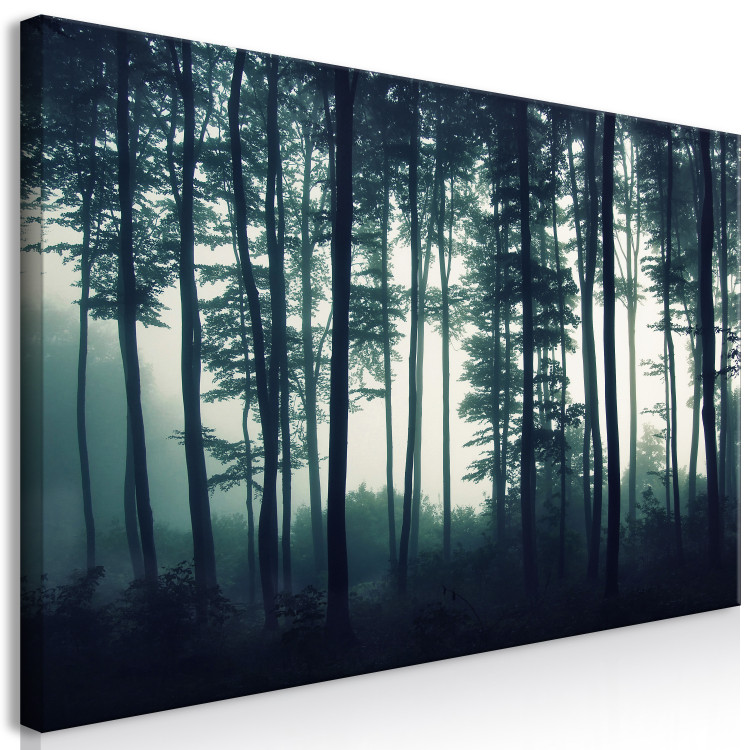 Large canvas print Forest in the Mist II [Large Format] 150807 additionalImage 2