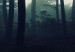 Large canvas print Forest in the Mist II [Large Format] 150807 additionalThumb 3