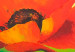Canvas Crimson poppies 47207 additionalThumb 2