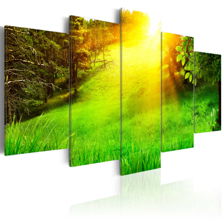 Canvas Forest and sun 50007 additionalImage 2