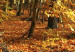 Canvas An alley among colorful leaves 58507 additionalThumb 4
