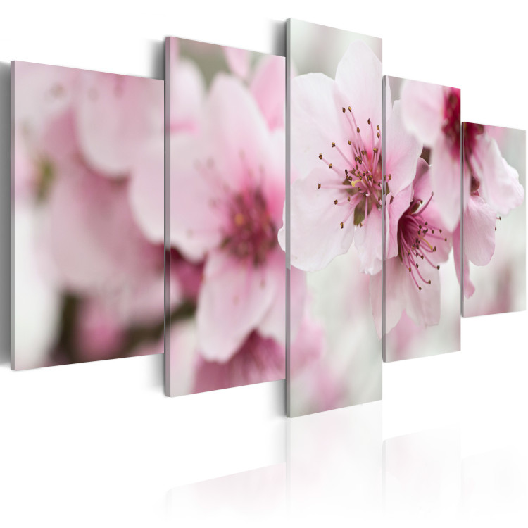 Canvas Print Cherry- gentleness and beauty 58607 additionalImage 2