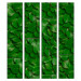 Wallpaper Green Gate 91607 additionalThumb 1