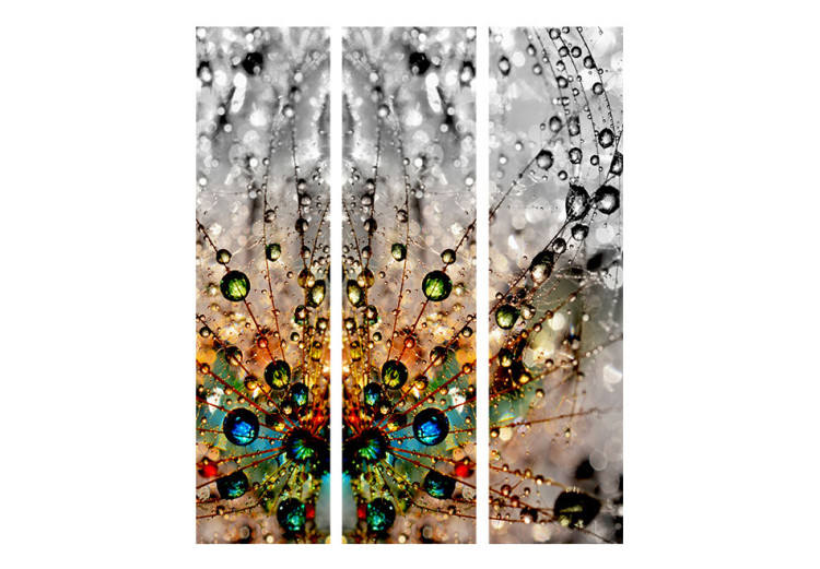 Room Divider Screen Enchanted Dew - abstract dandelion with colorful water droplets 95507 additionalImage 3