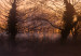 Canvas Art Print Winter Sunset (1 Part) Narrow 108217 additionalThumb 4