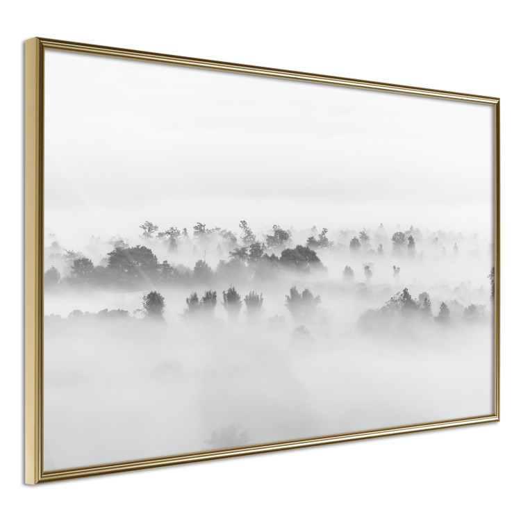 Poster Dense fog - black and white landscape overlooking misty treetops 114917 additionalImage 12