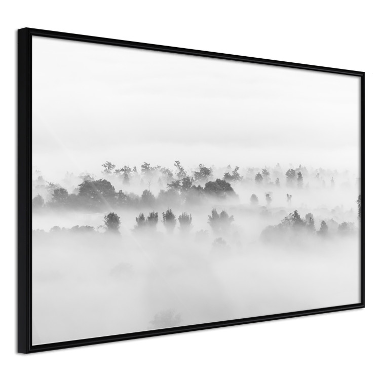 Poster Dense fog - black and white landscape overlooking misty treetops 114917 additionalImage 12