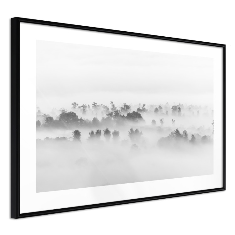 Poster Dense fog - black and white landscape overlooking misty treetops 114917 additionalImage 11
