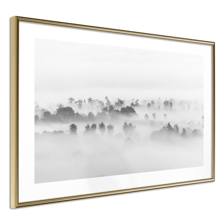 Poster Dense fog - black and white landscape overlooking misty treetops 114917 additionalImage 6