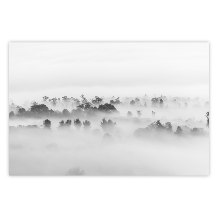 Poster Dense fog - black and white landscape overlooking misty treetops 114917