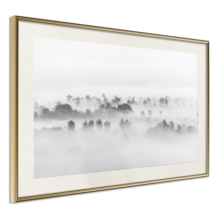 Poster Dense fog - black and white landscape overlooking misty treetops 114917 additionalImage 2
