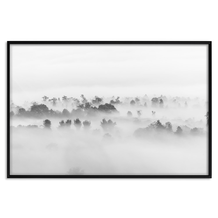 Poster Dense fog - black and white landscape overlooking misty treetops 114917 additionalImage 24