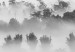 Poster Dense fog - black and white landscape overlooking misty treetops 114917 additionalThumb 9