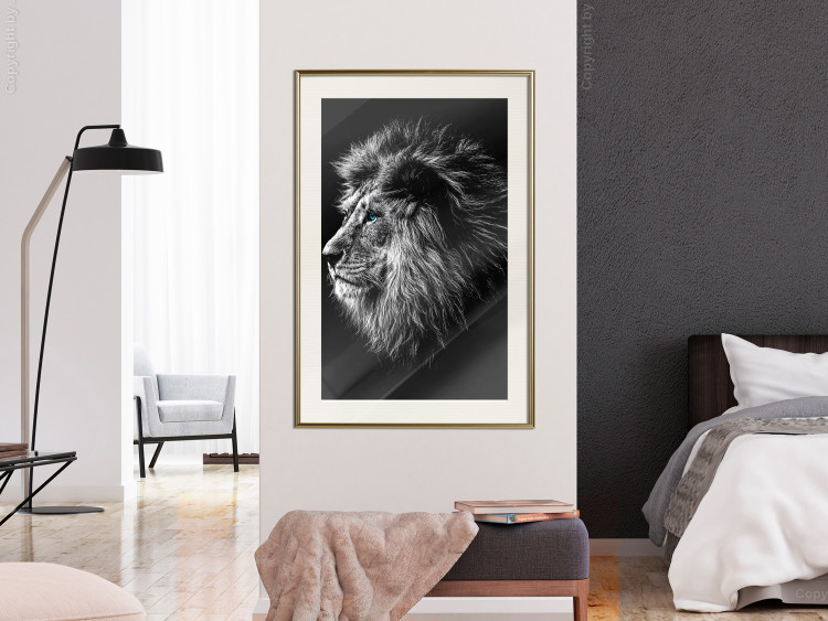 Wall Poster Black and White King - composition with a dignified lion with blue eyes 116317 additionalImage 21