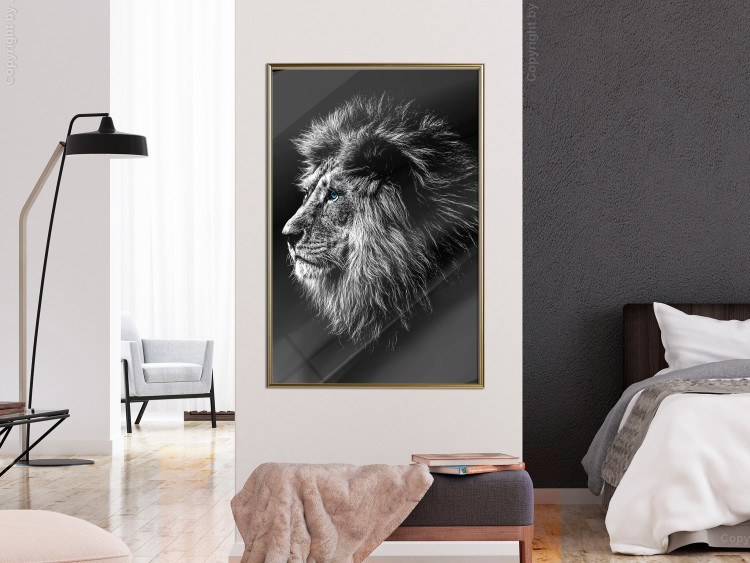 Wall Poster Black and White King - composition with a dignified lion with blue eyes 116317 additionalImage 7