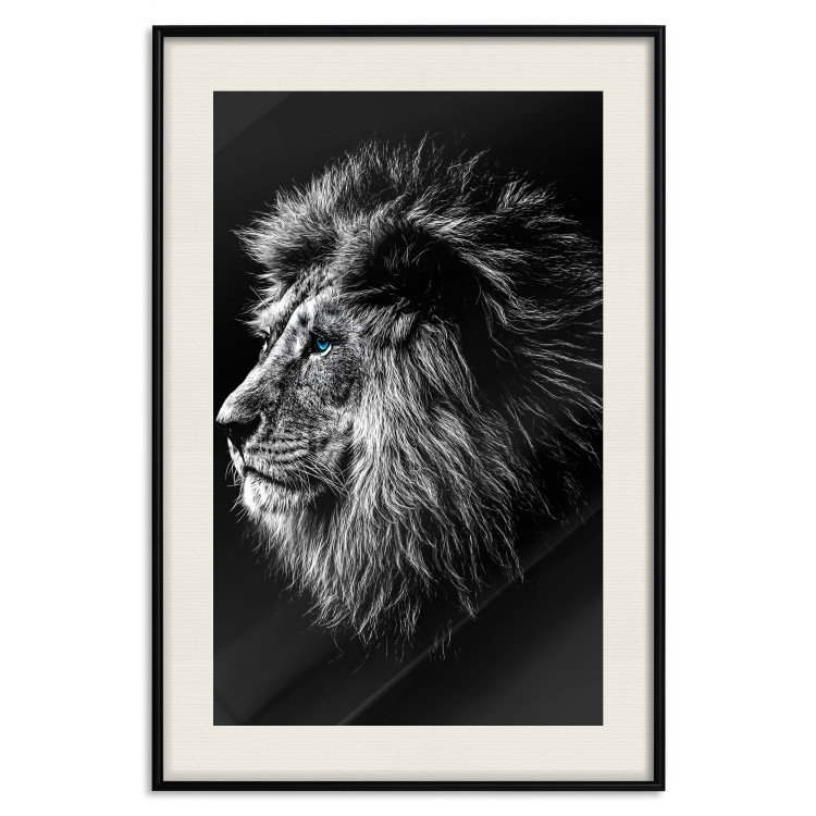 Wall Poster Black and White King - composition with a dignified lion with blue eyes 116317 additionalImage 18