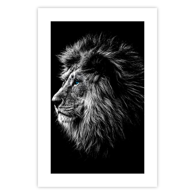 Wall Poster Black and White King - composition with a dignified lion with blue eyes 116317 additionalImage 25