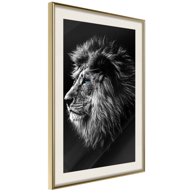 Wall Poster Black and White King - composition with a dignified lion with blue eyes 116317 additionalImage 2