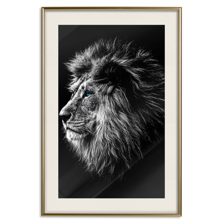 Wall Poster Black and White King - composition with a dignified lion with blue eyes 116317 additionalImage 19