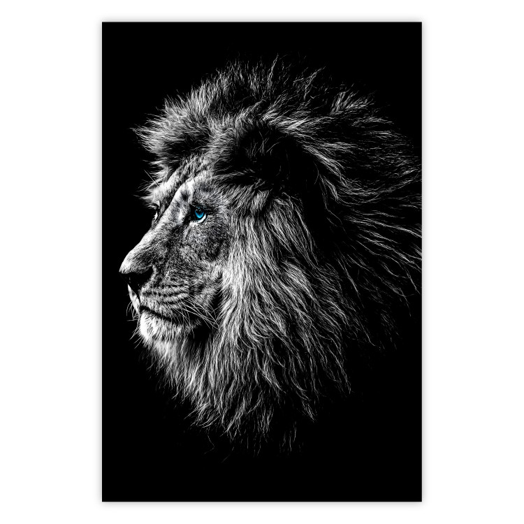 Wall Poster Black and White King - composition with a dignified lion with blue eyes 116317