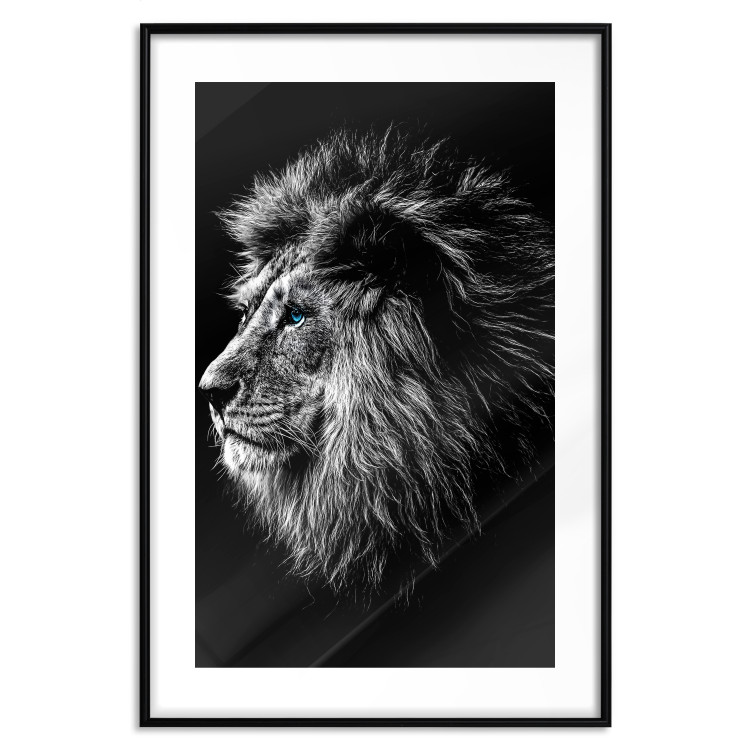 Wall Poster Black and White King - composition with a dignified lion with blue eyes 116317 additionalImage 17