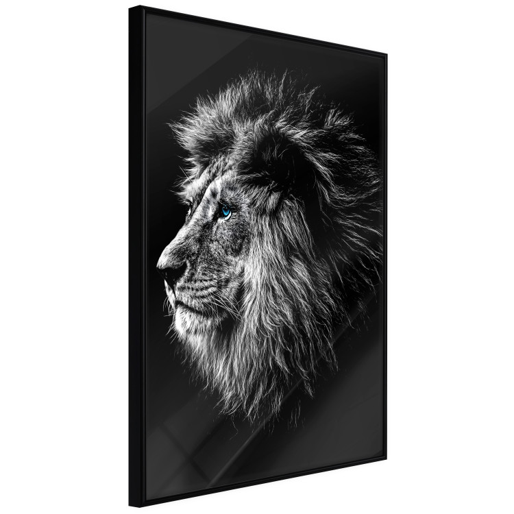 Wall Poster Black and White King - composition with a dignified lion with blue eyes 116317 additionalImage 12