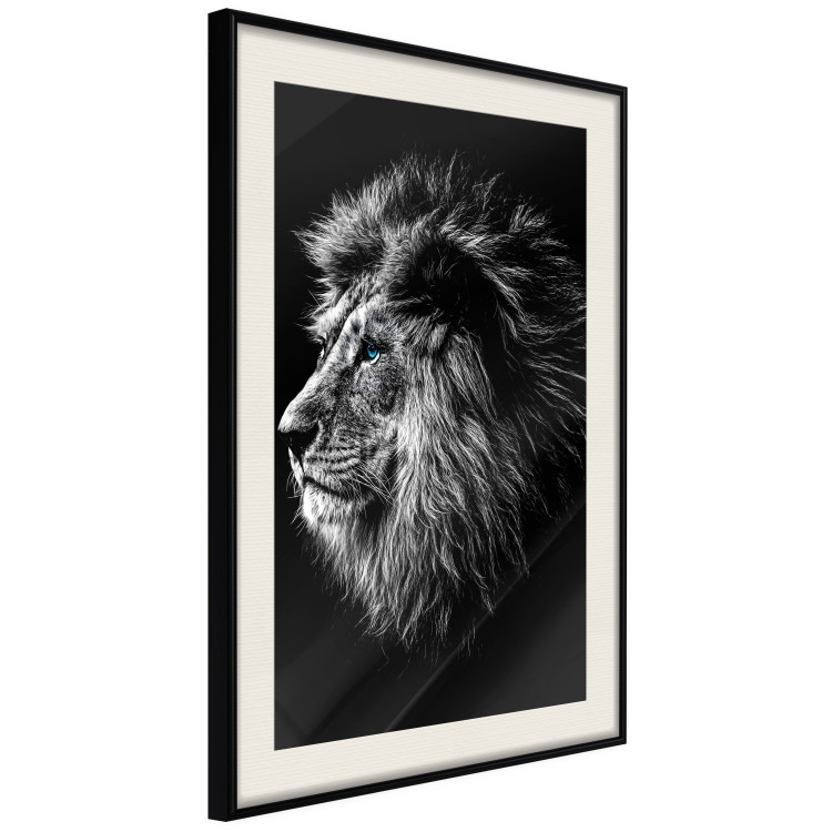 Wall Poster Black and White King - composition with a dignified lion with blue eyes 116317 additionalImage 3