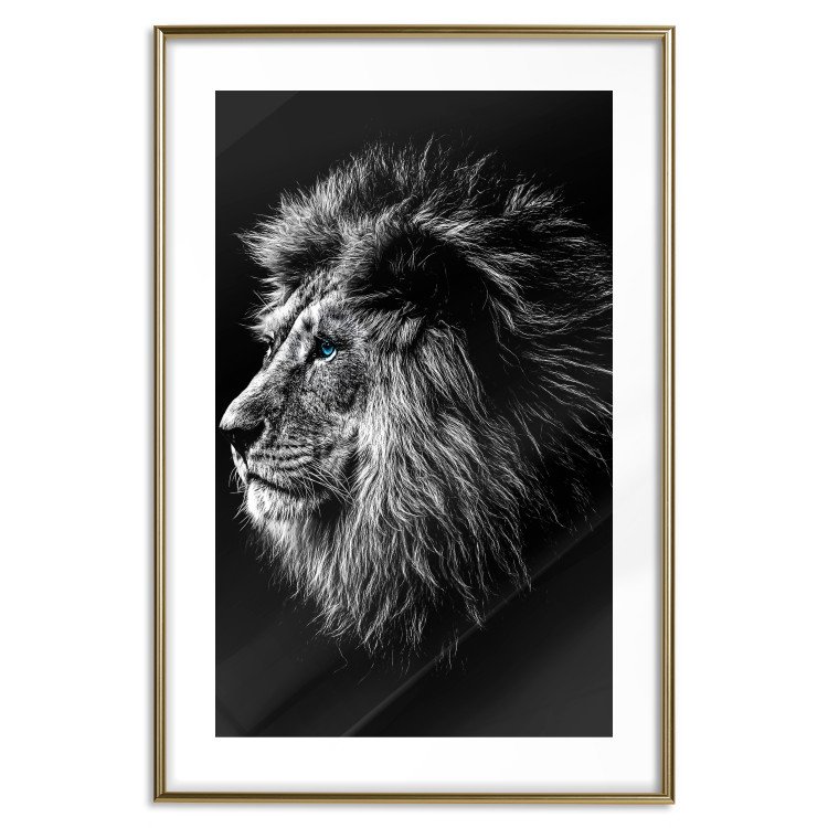 Wall Poster Black and White King - composition with a dignified lion with blue eyes 116317 additionalImage 16