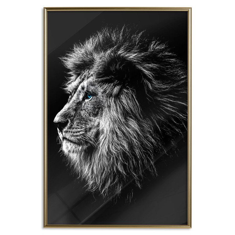 Wall Poster Black and White King - composition with a dignified lion with blue eyes 116317 additionalImage 20
