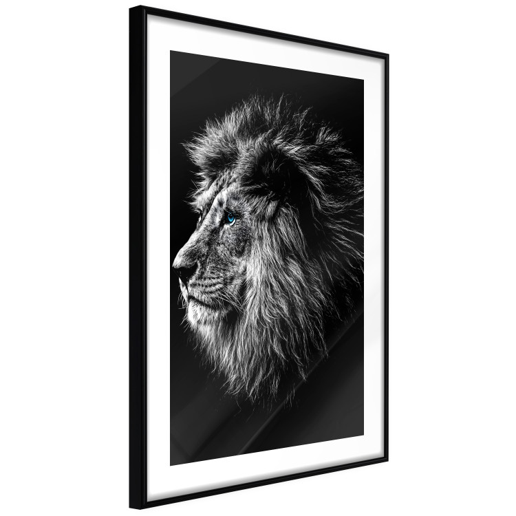 Wall Poster Black and White King - composition with a dignified lion with blue eyes 116317 additionalImage 13