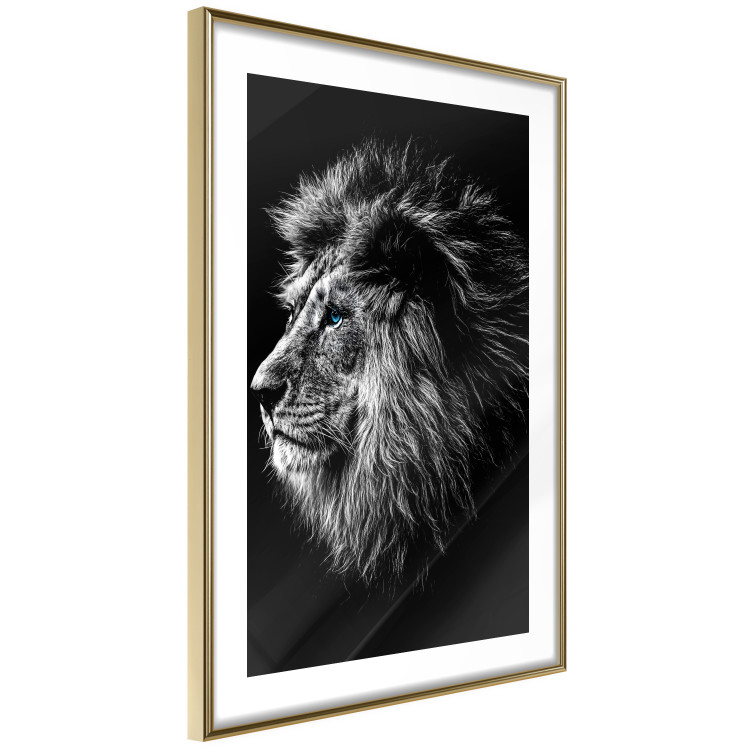 Wall Poster Black and White King - composition with a dignified lion with blue eyes 116317 additionalImage 8