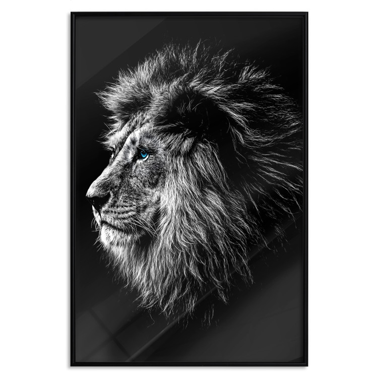 Wall Poster Black and White King - composition with a dignified lion with blue eyes 116317 additionalImage 24