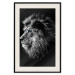 Wall Poster Black and White King - composition with a dignified lion with blue eyes 116317 additionalThumb 18