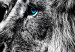 Wall Poster Black and White King - composition with a dignified lion with blue eyes 116317 additionalThumb 10