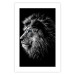 Wall Poster Black and White King - composition with a dignified lion with blue eyes 116317 additionalThumb 25