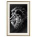 Wall Poster Black and White King - composition with a dignified lion with blue eyes 116317 additionalThumb 19