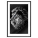 Wall Poster Black and White King - composition with a dignified lion with blue eyes 116317 additionalThumb 17
