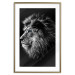 Wall Poster Black and White King - composition with a dignified lion with blue eyes 116317 additionalThumb 16