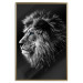 Wall Poster Black and White King - composition with a dignified lion with blue eyes 116317 additionalThumb 20