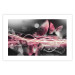 Poster Flame of Butterflies - radiant abstraction with silver and pink insects 118417 additionalThumb 25