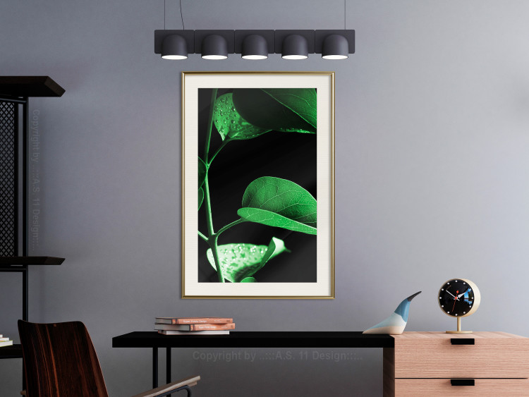 Poster Plant in Black - botanical composition with green leaves on a dark background 121617 additionalImage 21